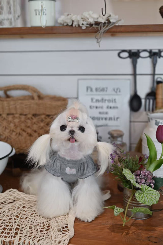 Cartoon Animal–Themed Dog Pajamas for Home Wear