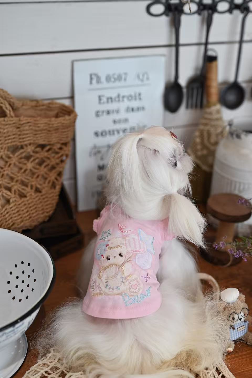 Animal Party Loungewear set