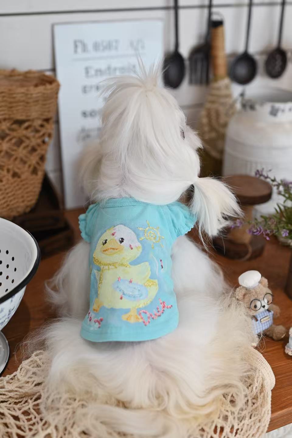 Animal Party Loungewear set