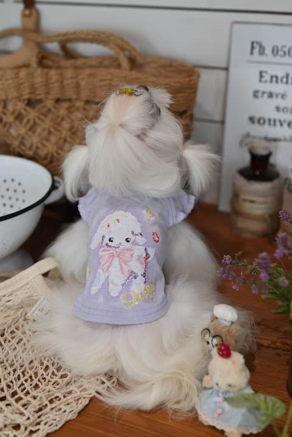 Animal Party Loungewear set