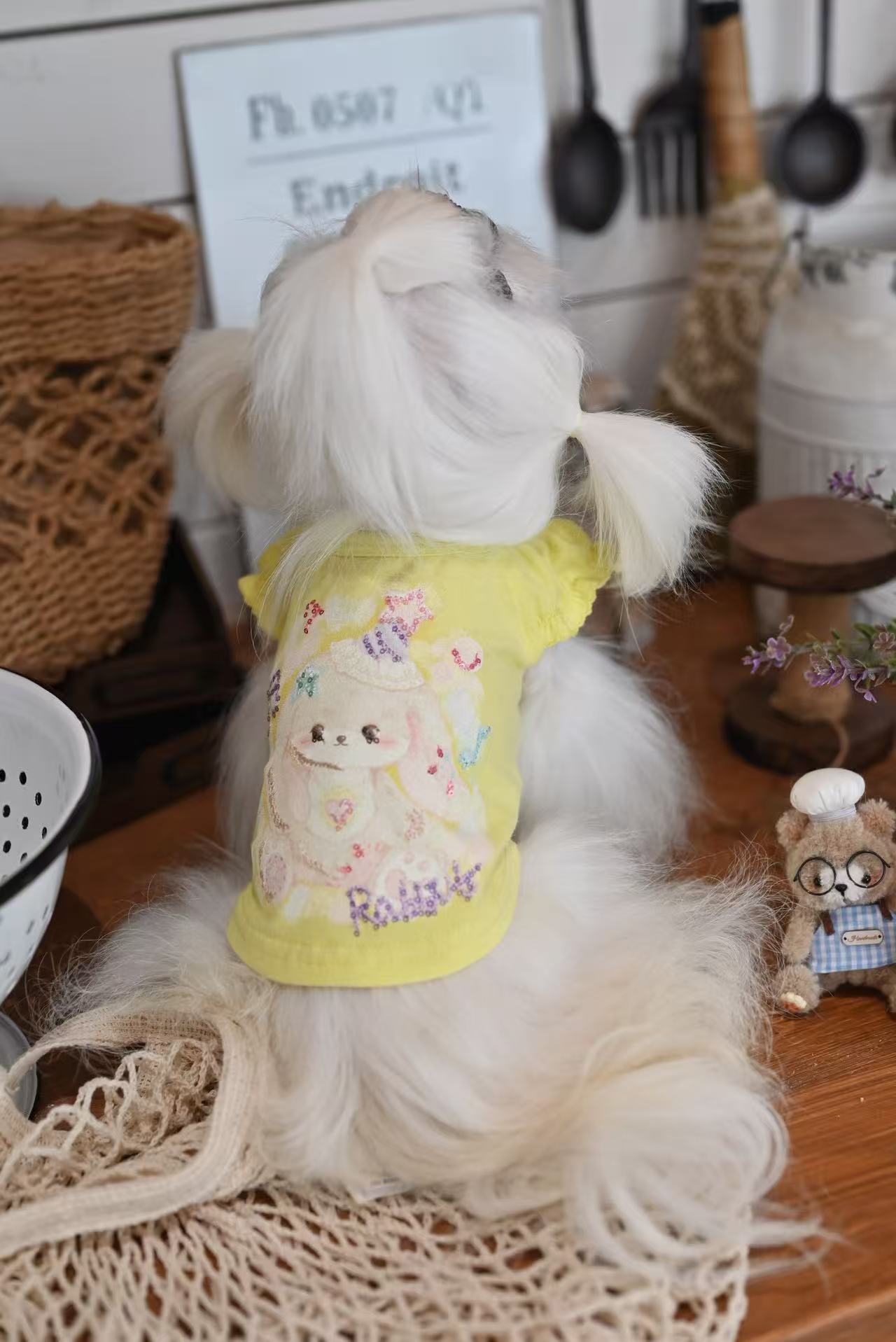 Animal Party Loungewear set